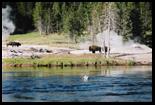 WY - A wonderful trip to Yellowstone