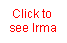 Text Box: Click to see Irma