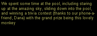 Text Box: We spent some time at the pool, including staring up at the amazing sky, sliding down into the pool, and winning a trivia contest (thanks to our phone-a-friend, Dana) with the grand prize being this lovely monkey