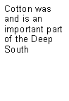 Text Box: Cotton was and is an important part of the Deep South